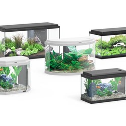 Aquarium