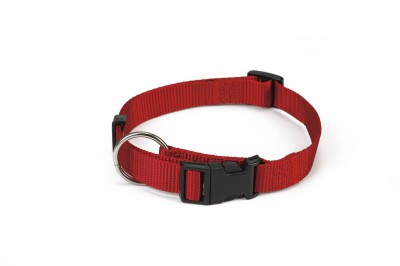 Beeztees Halsband Rood