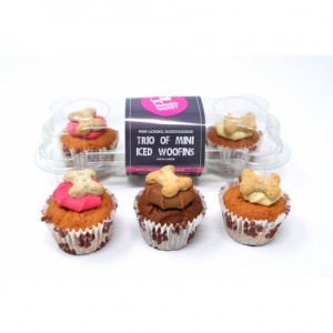 Iced woofin muffin mini per 3