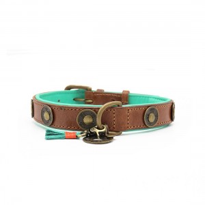 Dwam halsband Urban 2 cm S