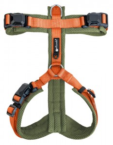 Petlando magnetech Y-comfort Olijfgroen/oranje diverse maten