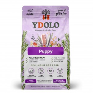 Ydolo healthy & pure puppy 2,5 kg