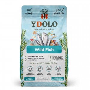 Ydolo healthy & pure wild fish 2,5 kg