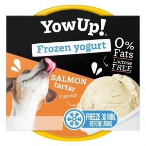 YowUp! Frozen Yoghurt Salmon Tartar 110 gram